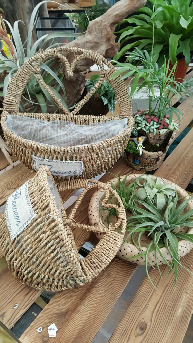 向阳的玻璃花房,玻璃花房设计建造