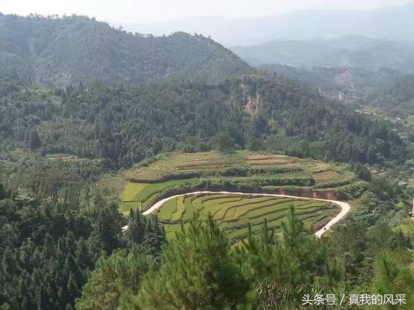 好食又好玩的广东信宜，约吗？