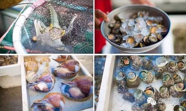 珠海一周游攻略,三天两夜珠海旅游攻略