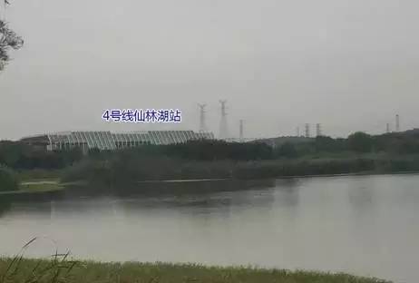 仙林湖还有发展空间吗,仙林湖扩建
