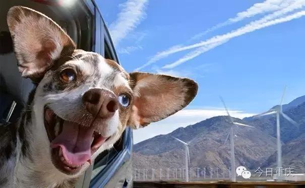 重庆周末耍事推荐,重庆主城耍事推荐