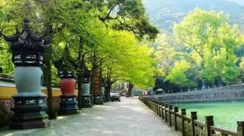 宁波最好的国宝文物,宁波国宝文物有哪些