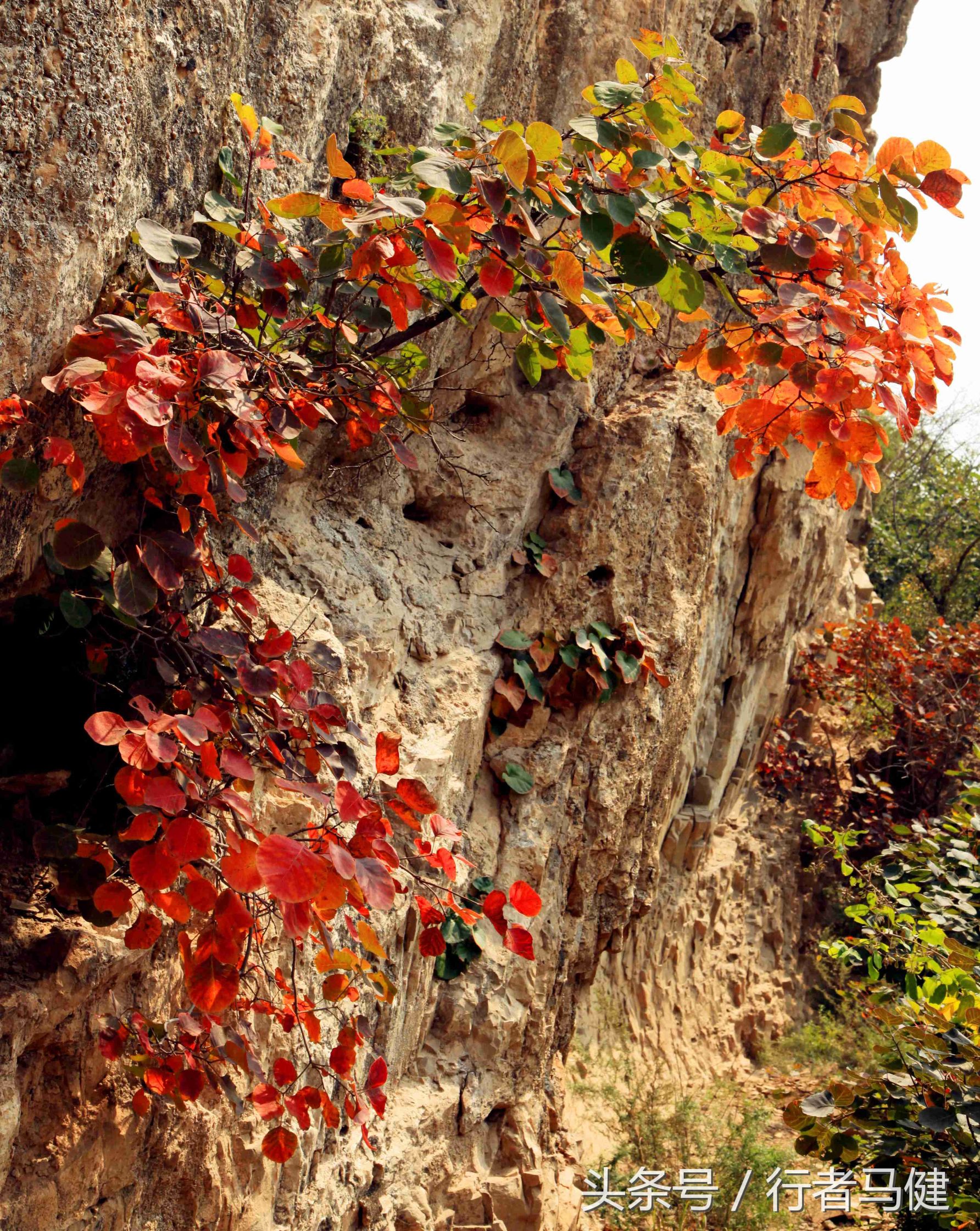 错过了邢台云梦山，太行山最大的红叶区，就相当于错过了整个秋天