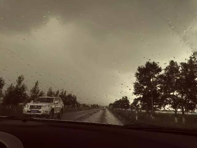 自驾川西带金毛,长途自驾带金毛