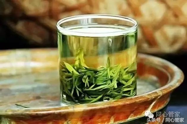 绞股蓝和什么茶一起泡水调理三高,三高调理茶的作用与功效是什么