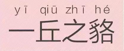 是“芝麻糊（hù）”，不是“芝麻糊（hú）”——易错词盘点
