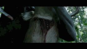 最近上映的丛林新电影,最近上映的丛林动画新电影