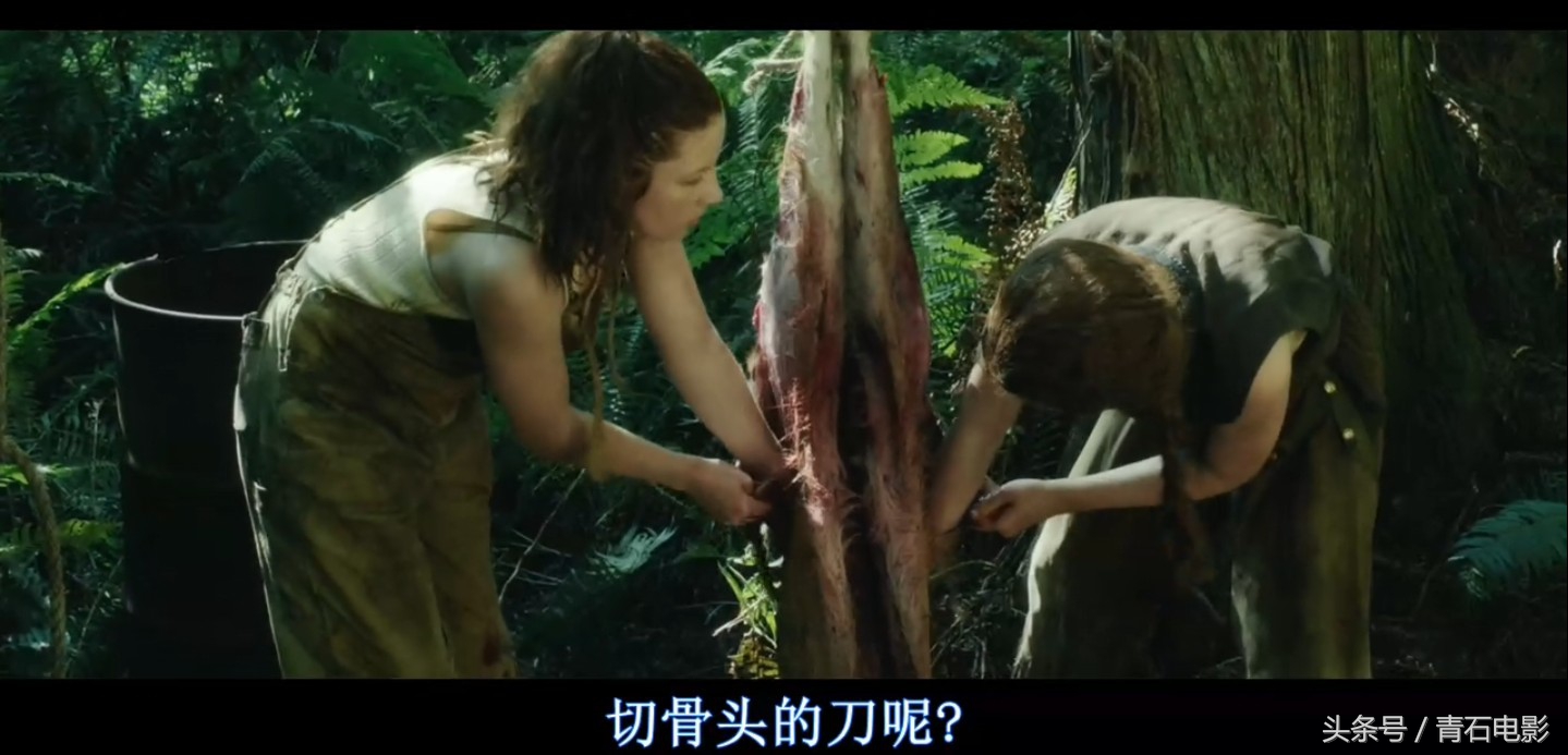 最近上映的丛林新电影,最近上映的丛林动画新电影