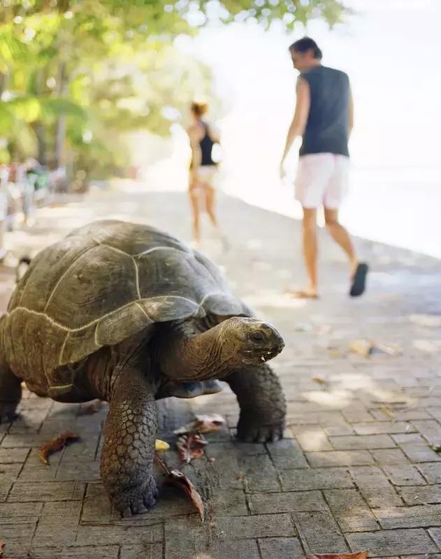 塞舌尔海洋天堂,最后的伊甸园之塞舌尔