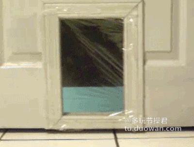 搞笑动态图：人见人爱的小萝莉