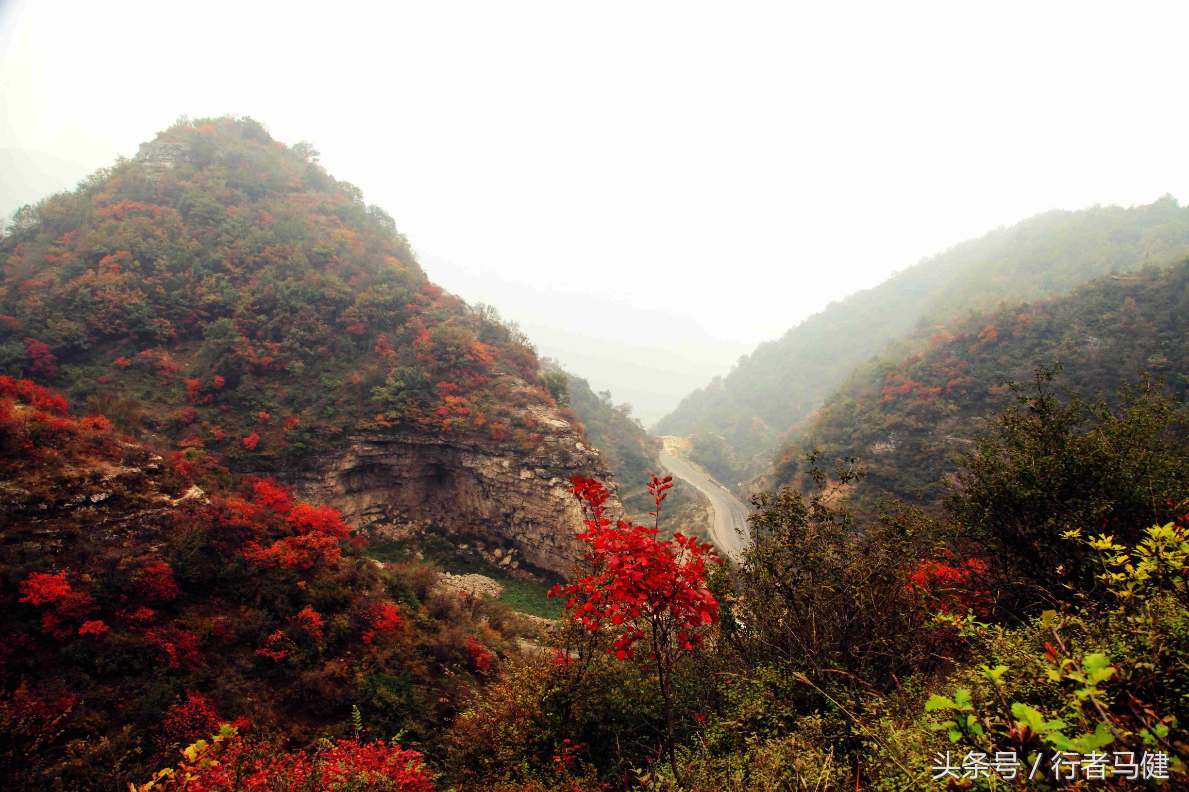 错过了邢台云梦山，太行山最大的红叶区，就相当于错过了整个秋天
