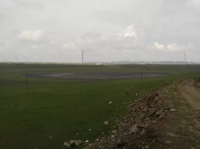 自驾川西带金毛,长途自驾带金毛