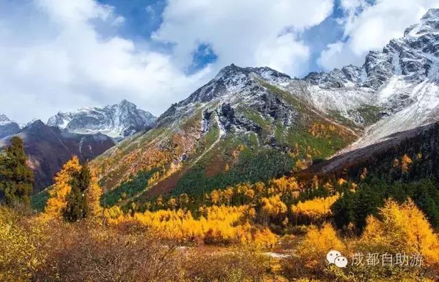 成都周边半小时车程左右看秋景,离成都200公里内景区