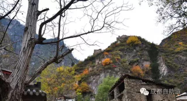 成都周边半小时车程左右看秋景,离成都200公里内景区