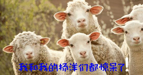 重庆各地区搞笑语言,重庆区县搞笑口音