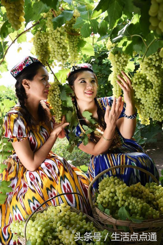 秀美中国之*疆新**