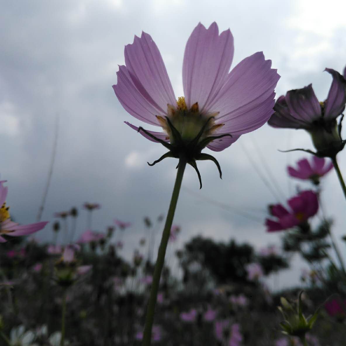 到珠海看航展攻略,去珠海看航展攻略