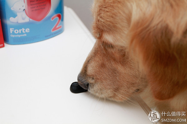 备孕婚前体验,备孕亲身经历和感受