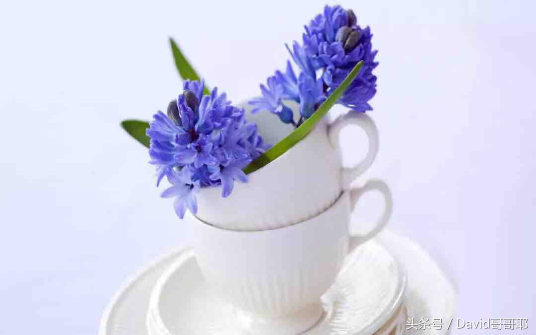 什么是红颜什么是知己什么是情人,什么是妻子什么是红颜什么是情人