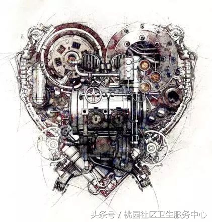 心脏支架说明书,这份通俗易懂的心脏说明书请收好