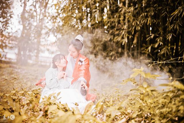 有关皇太极大玉儿的小说,皇太极与大玉儿的爱情小说