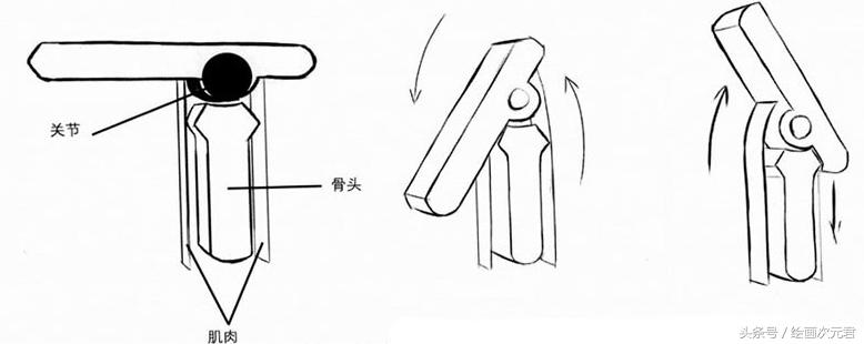 人体结构怎么画？教你如何绘画人体动态的技巧！