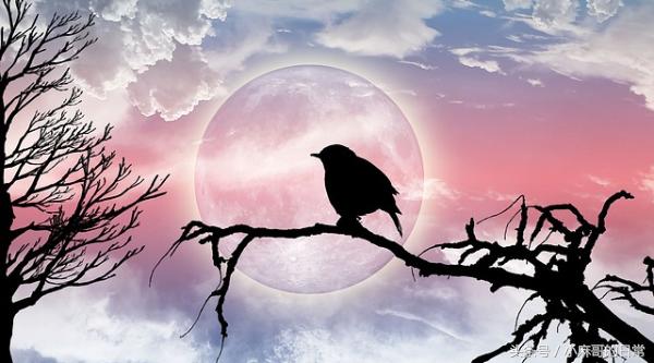 高钾血症的原因表现及处理,高钾血症心电图特征性表现