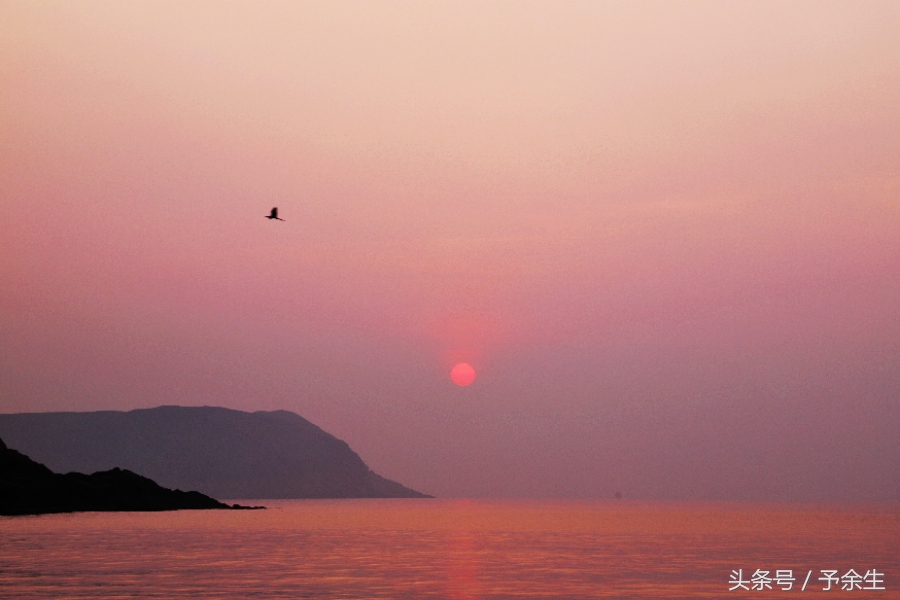 行麦径风景时宿轻沙绵风中