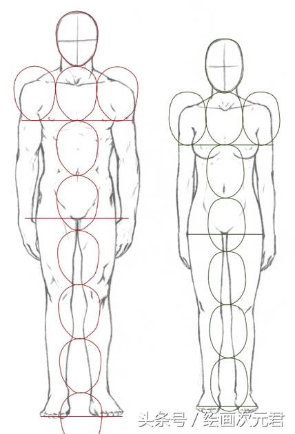 人体结构怎么画？教你如何绘画人体动态的技巧！
