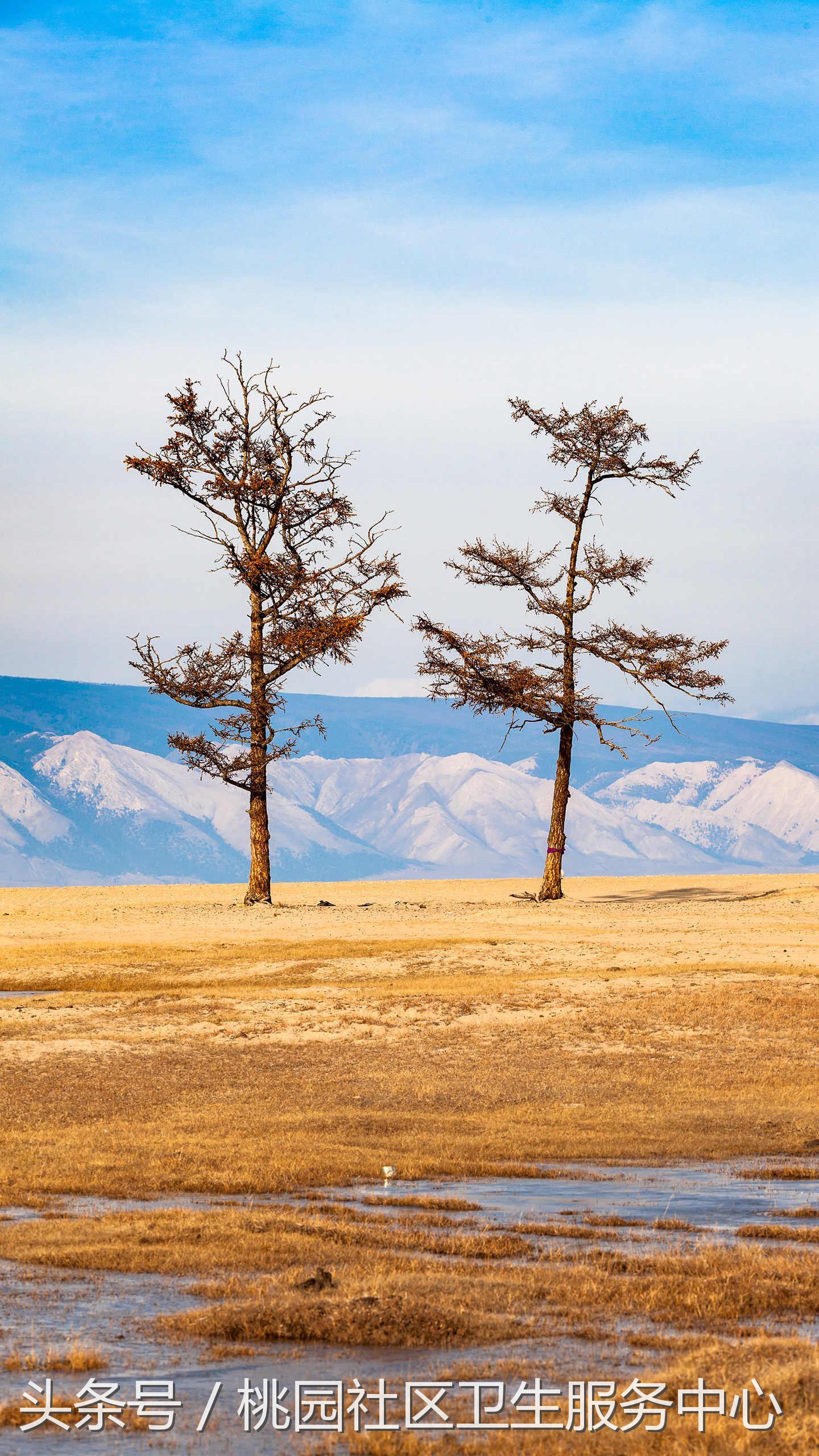 亲亲，约会前，先看看这条科普很有必要哦~
