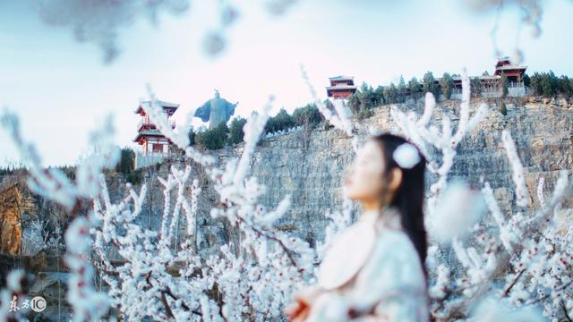 小说：他是三王爷，皇帝却赐给他一个傻子王妃，发现傻子竟不傻了