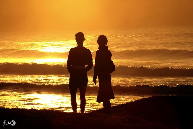 总裁收购女生公司小说,总裁不惜以整个公司为代价的小说