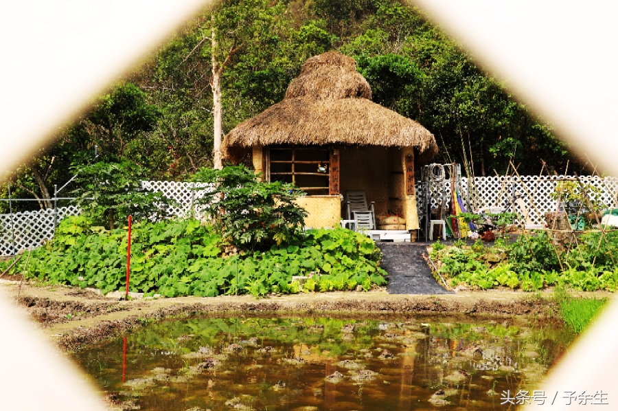 行麦径风景时宿轻沙绵风中