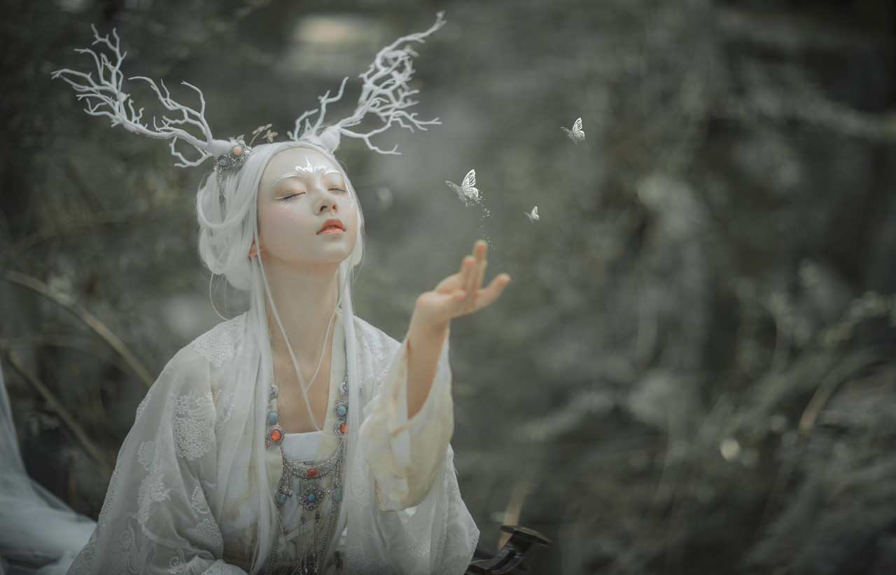 小说：他磨练自己的箭术，像隐于黑暗中的杀手，猎杀着外围的凶兽