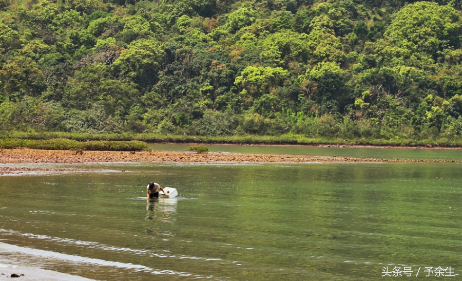 行麦径风景时宿轻沙绵风中