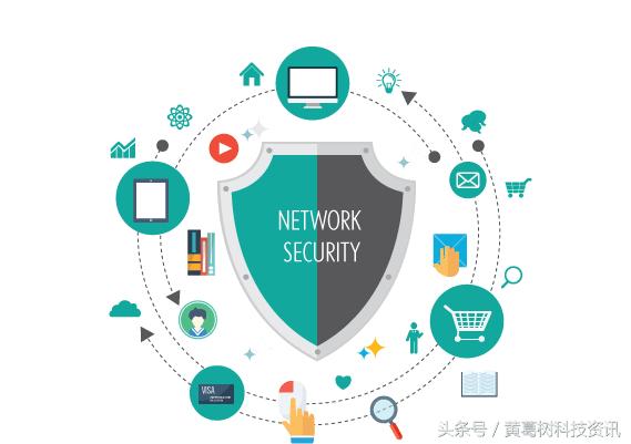 网络安全高危漏洞,网络病毒与网络安全