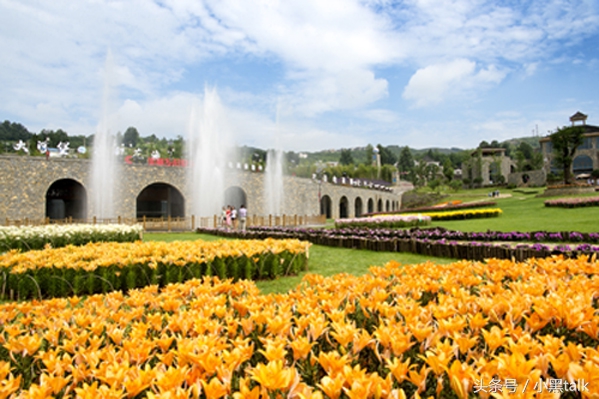 老罗演讲理想主义者,老罗理想主义者的故事