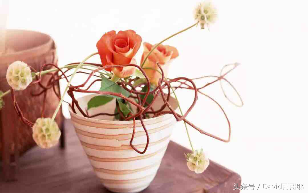 什么是红颜什么是知己什么是情人,什么是妻子什么是红颜什么是情人