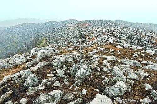 老罗演讲理想主义者,老罗理想主义者的故事