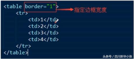 html学习看什么,学习html路线