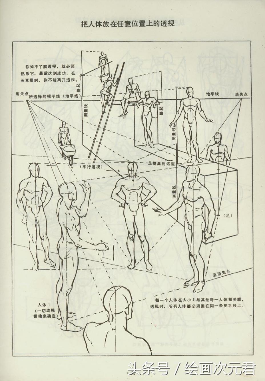 人体结构怎么画？教你如何绘画人体动态的技巧！