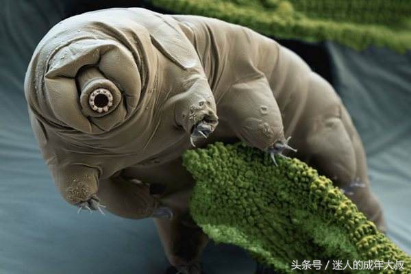 这些冷知识让你涨姿势,超实用的冷知识你知道几个