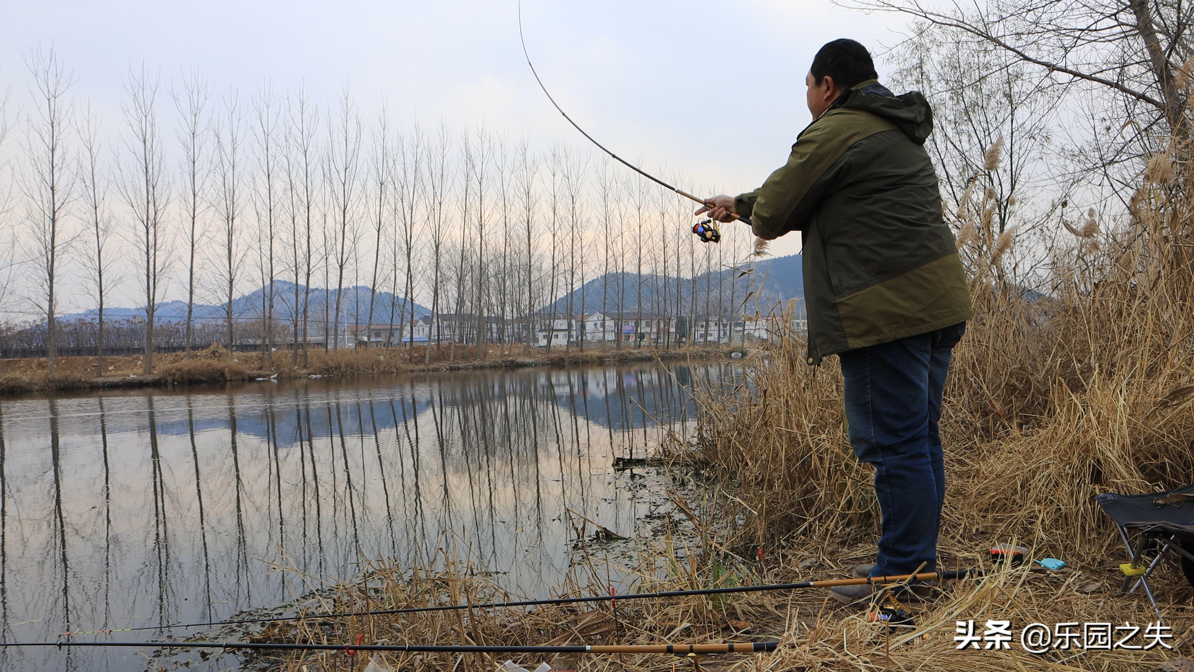 冬季红虫野钓直接挂钩,冬季钓红虫怎么抓口