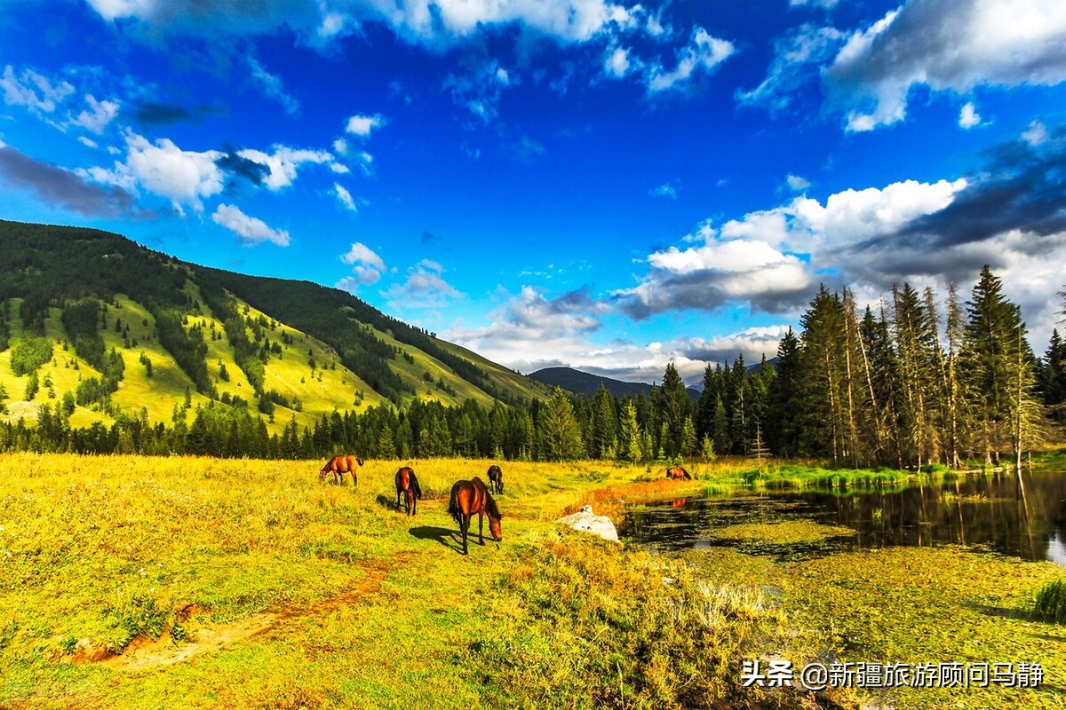 南京禄口机场疫情波及多地乌市：江苏、沈阳、中山来乌人员需隔离