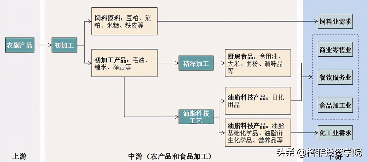 金龙鱼投资价值分析pdf,金龙鱼投资深度分析