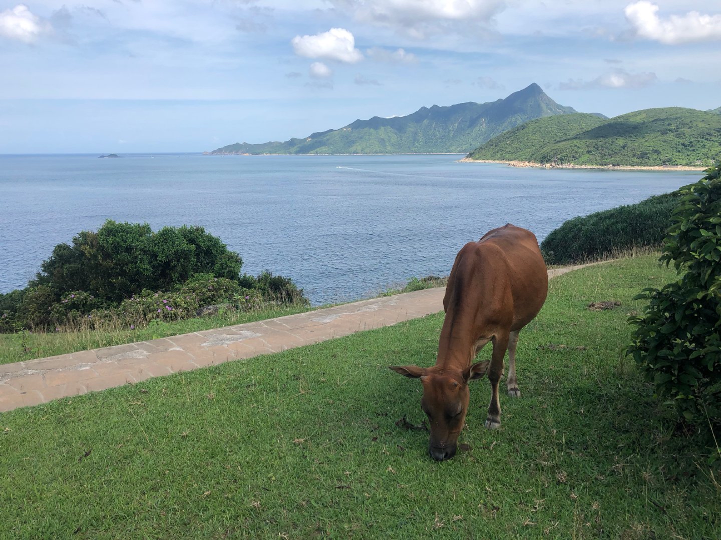户外露营小白,新手小白如何户外露营