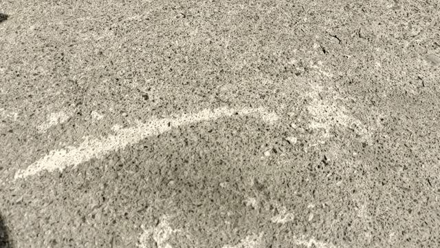 iphone12怎么挑选手机壳,iphone12套上透明手机壳是什么样