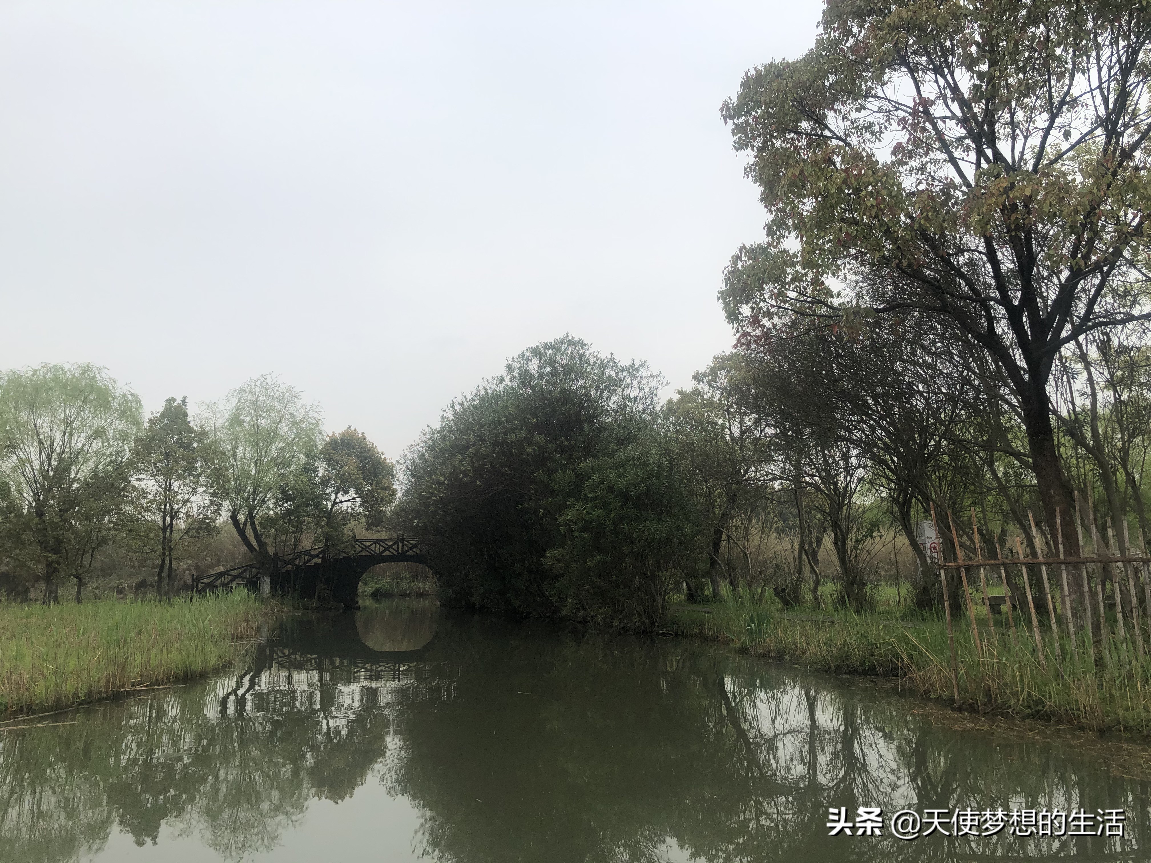 苏州常熟沙家浜有什么好玩的,常熟沙家浜芦苇荡