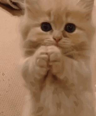 教你如何快速打开男友手机密码,如何解锁男友手机密码