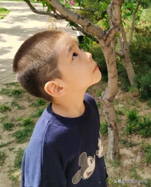 6岁嗯哼模样变帅气暖男气质爆棚,霍思燕嗯哼剃板寸视频
